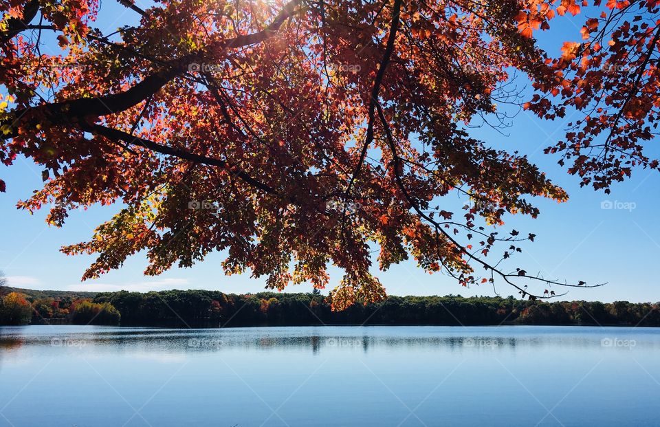 First signs of fall by the water