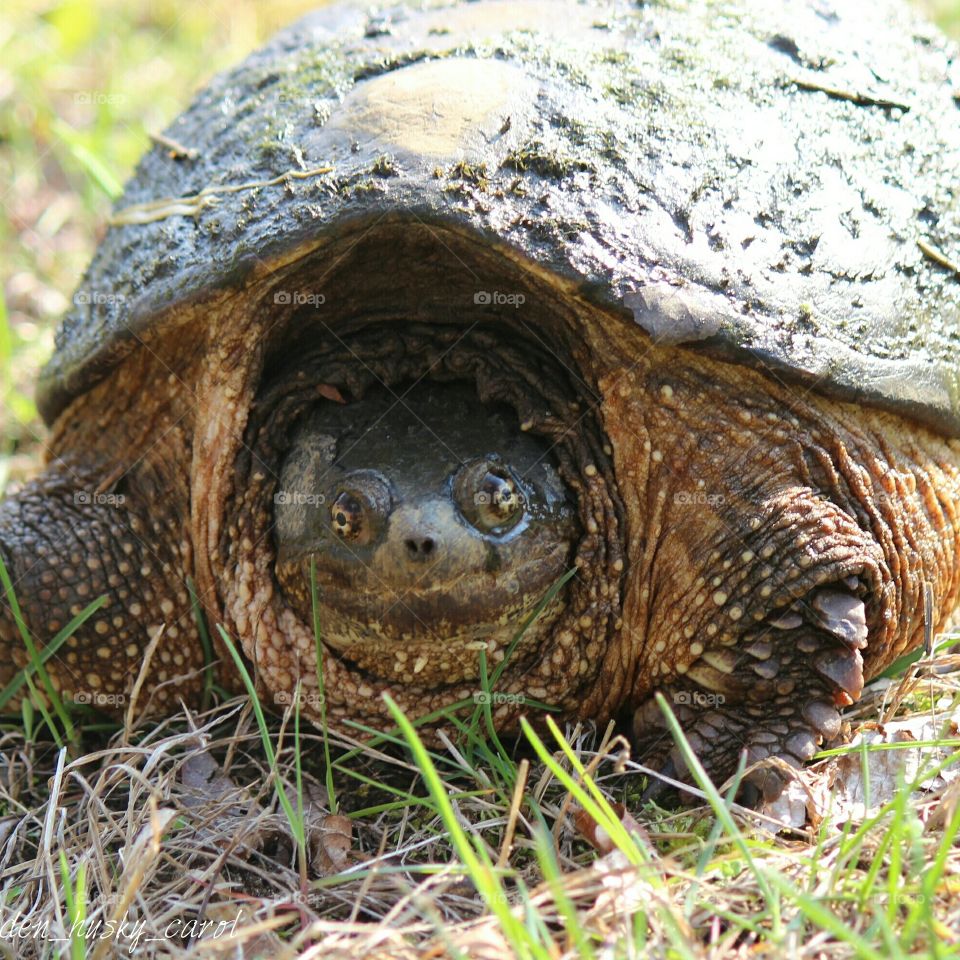 I'll get there soon enougj