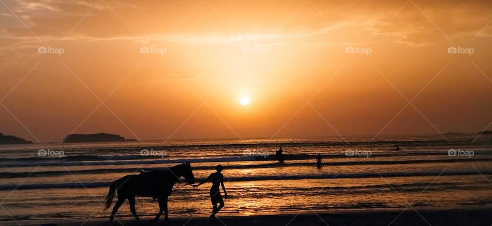 beautiful trip near the beach at essaouira city in Morocco.