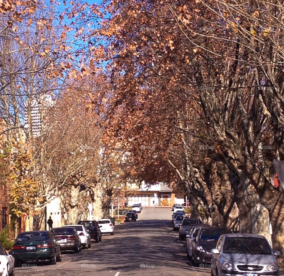 Autumn street