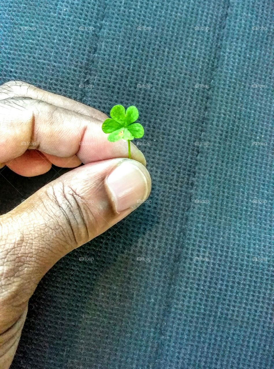 green Clover thumbnail seat cushion