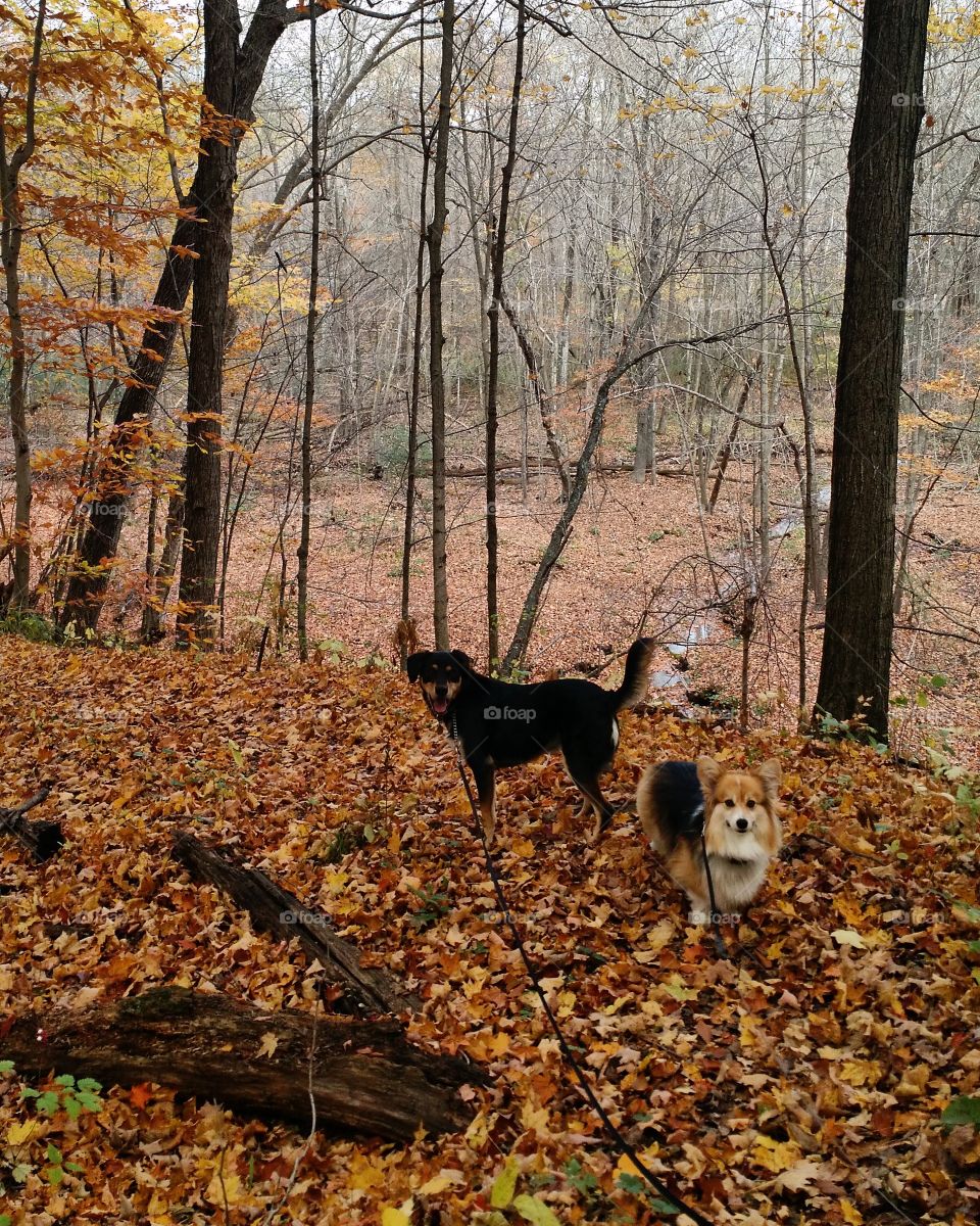 October Hike