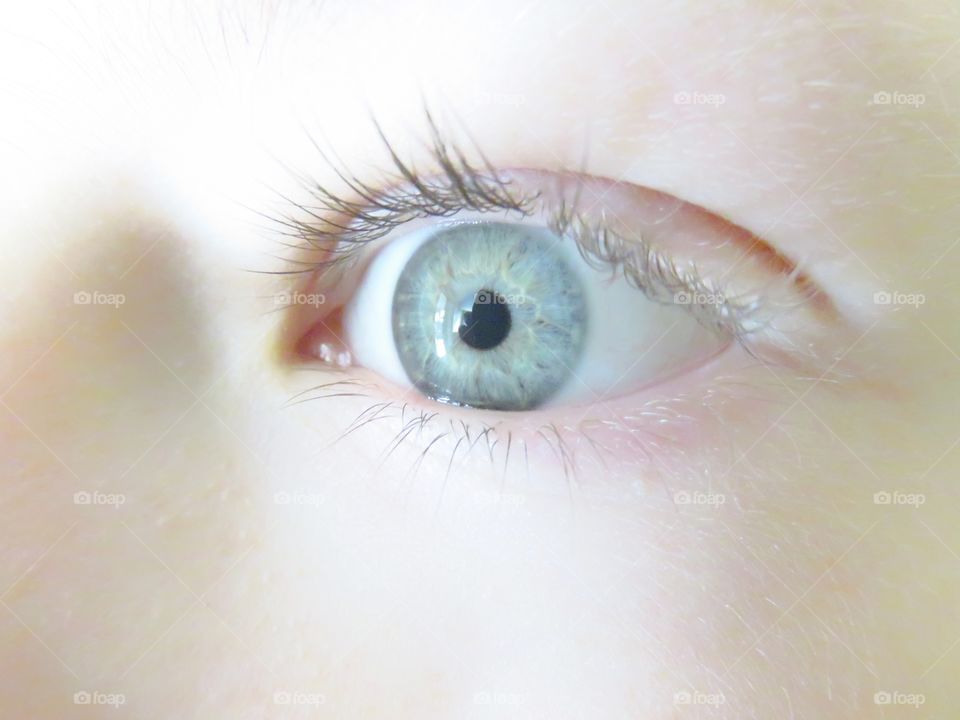 eye