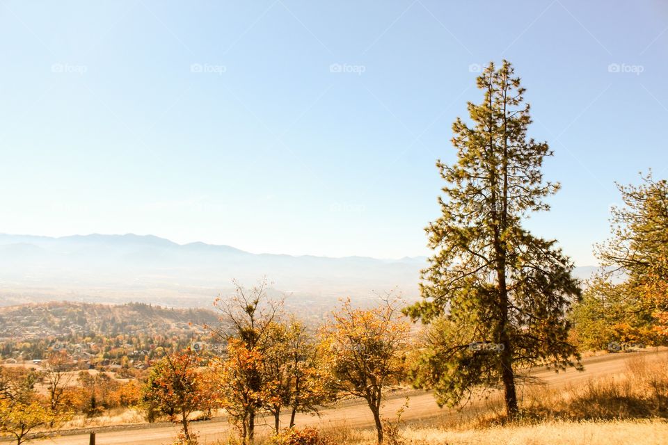 Autumn in the Mountain