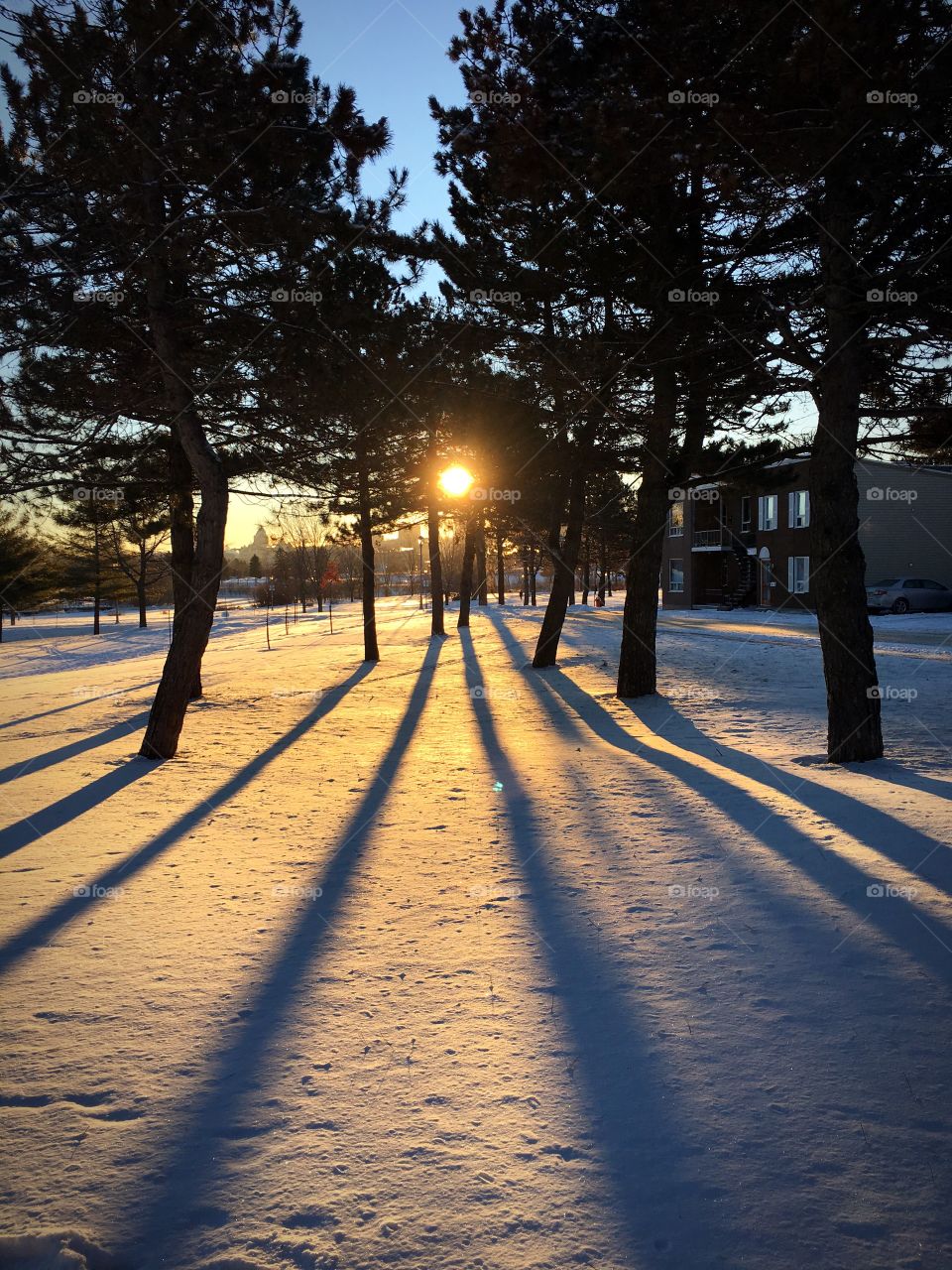 Sunset during winter 