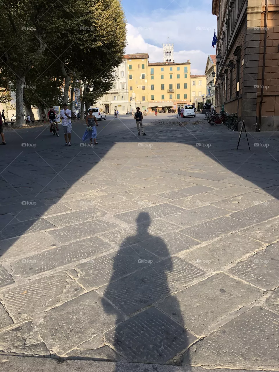 Silhouettes 