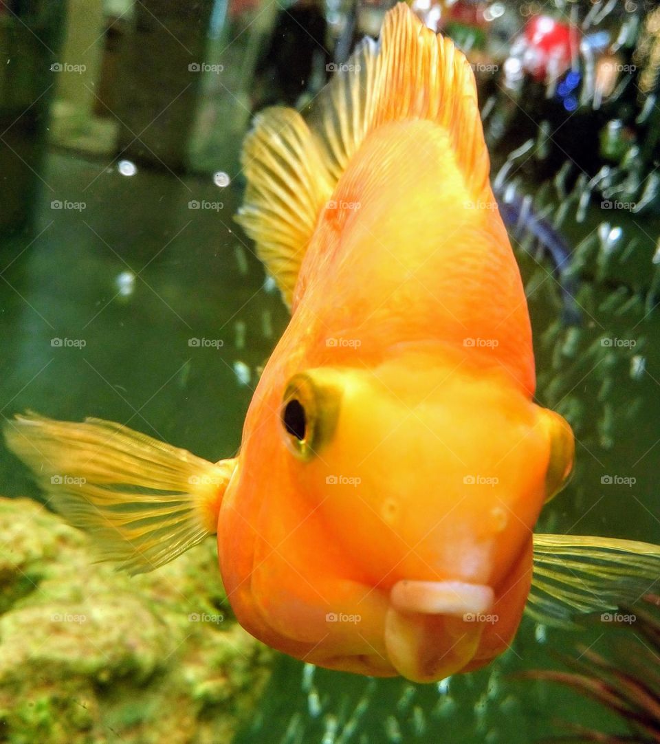 Orange and green 💚🧡