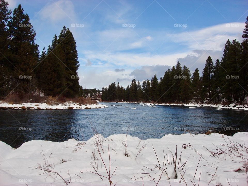 Snow, Winter, Tree, Lake, Landscape