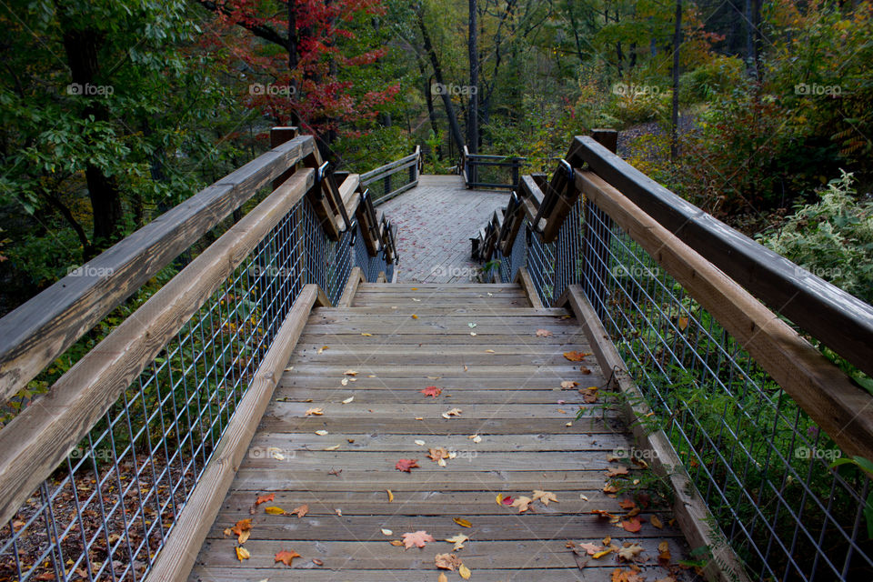 Man made path. A lot of great path looks in a park.