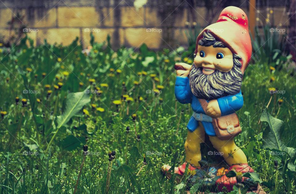 Gnome in the garden