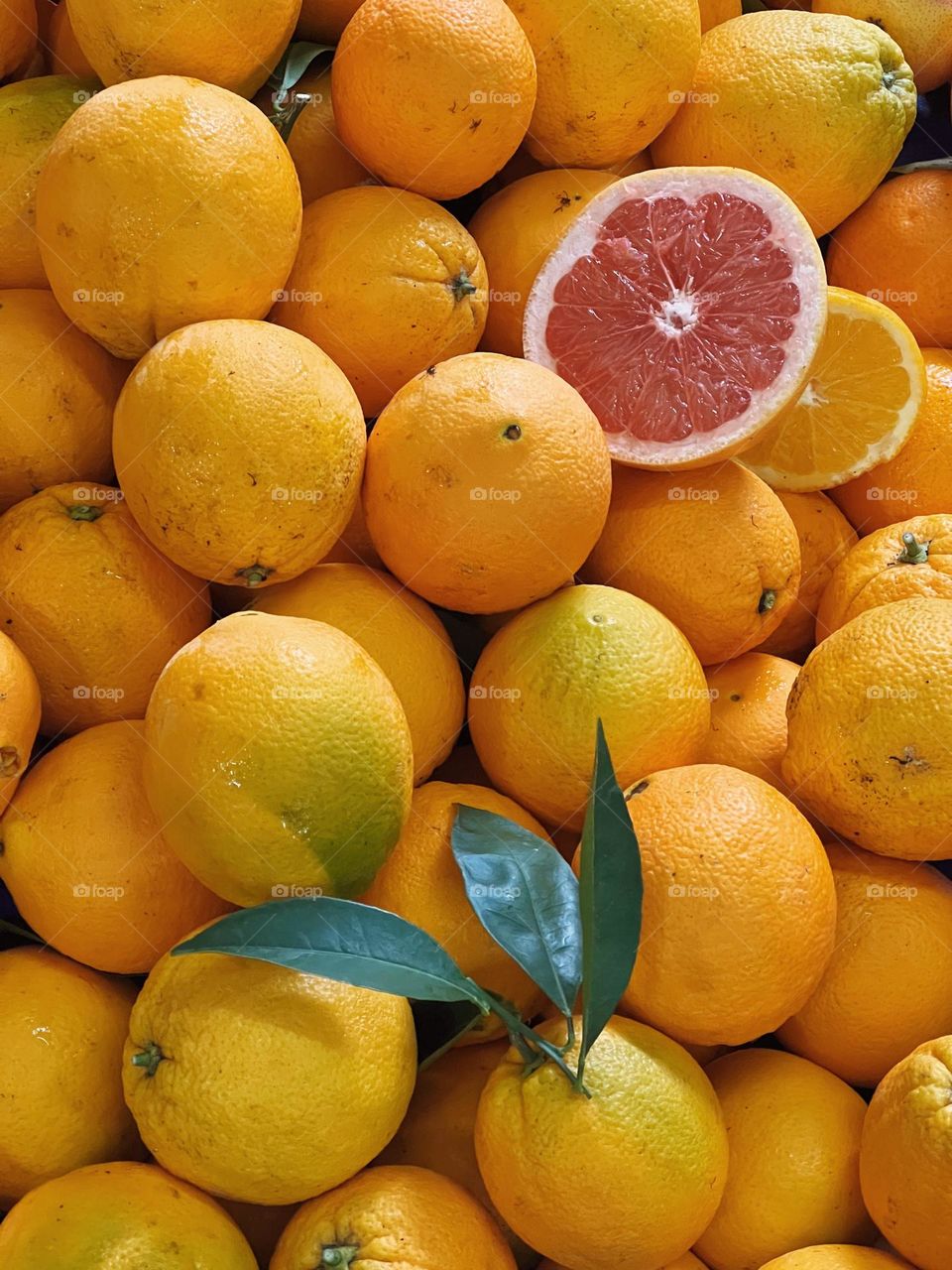 Oranges texture