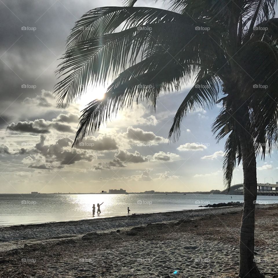 Sunset at Biscayne Bay Beach - Miami Beach - Florida 