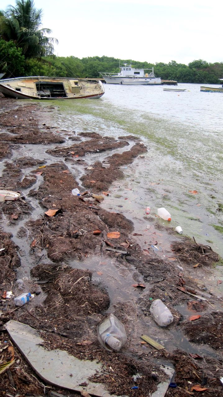 Marine debris along coast of Puerto Rico.