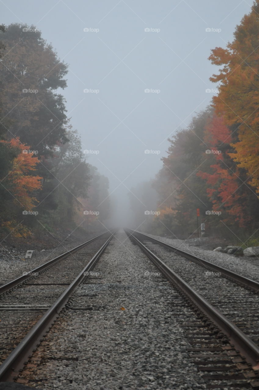 Foggy railroad