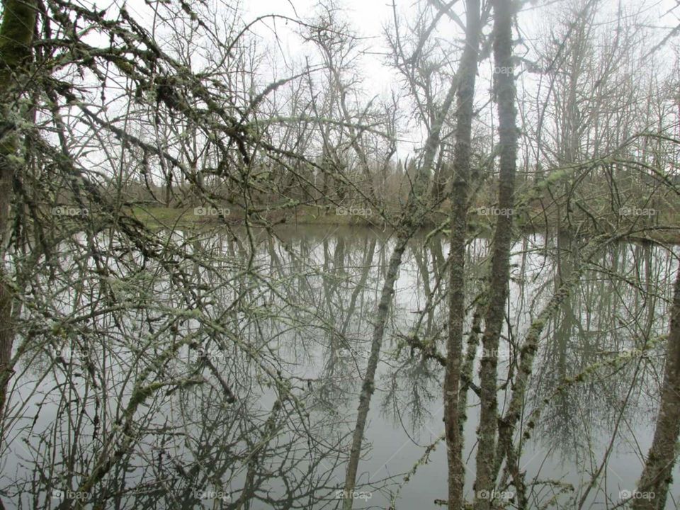 swamps in Oregon