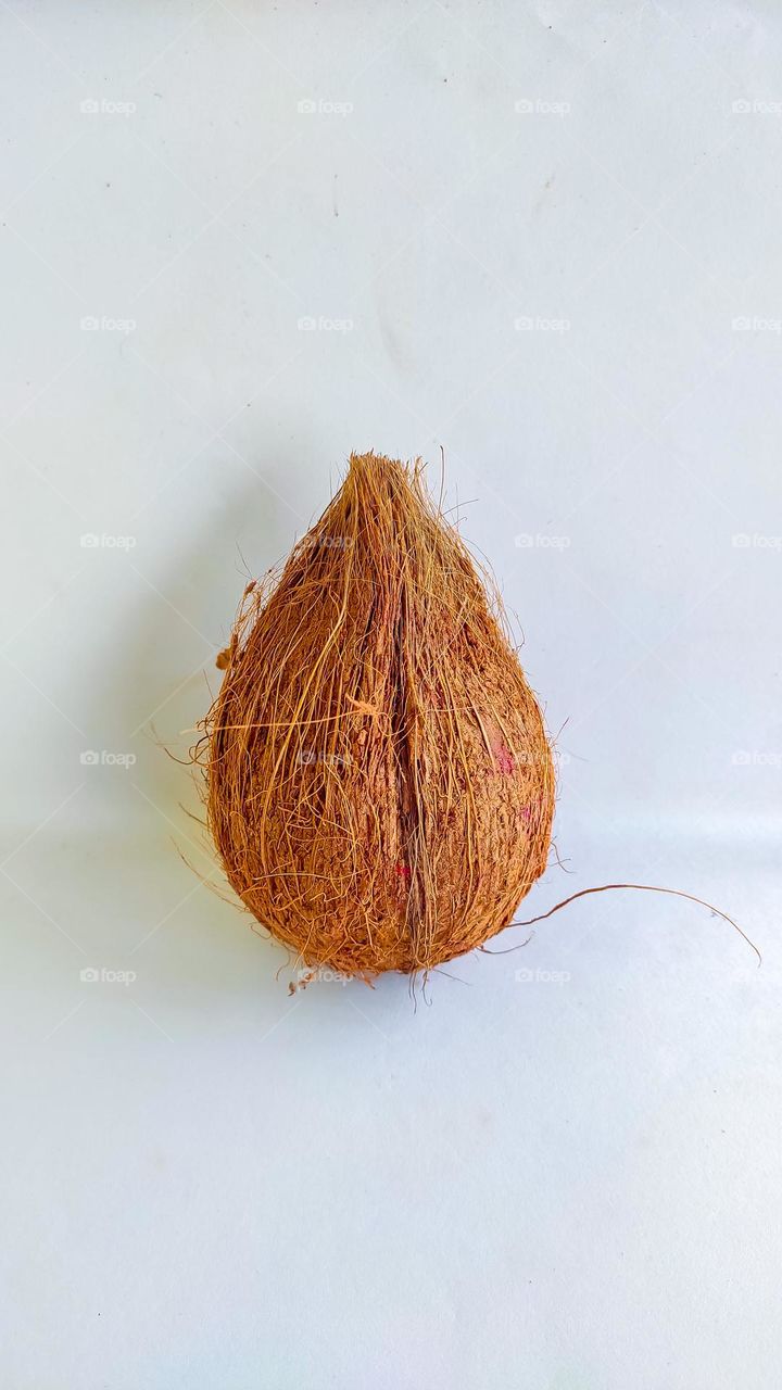 coconut on a white background.