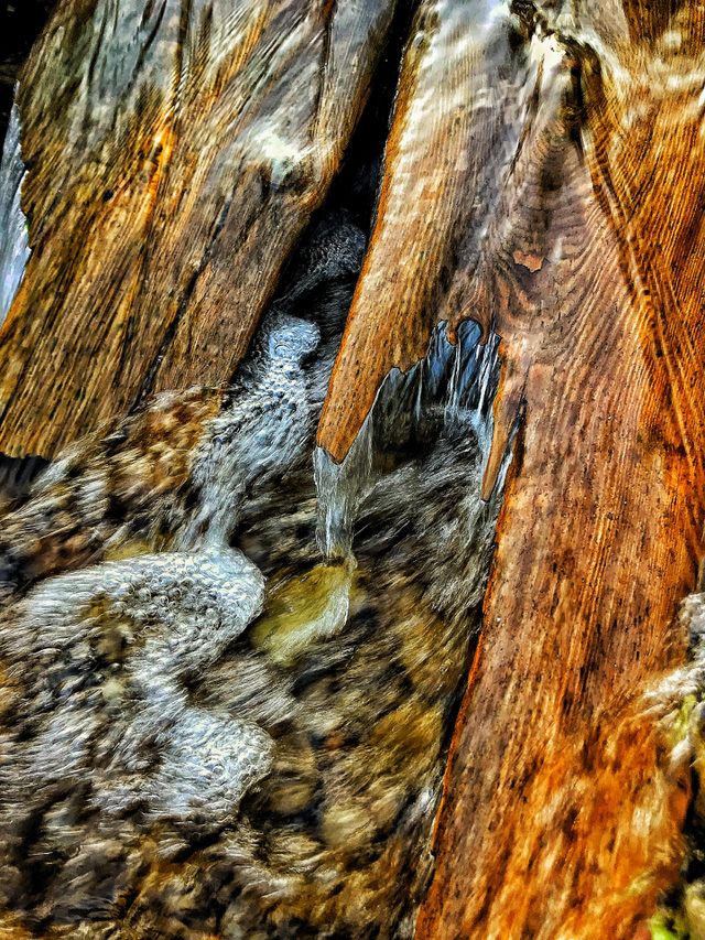 Trout stream