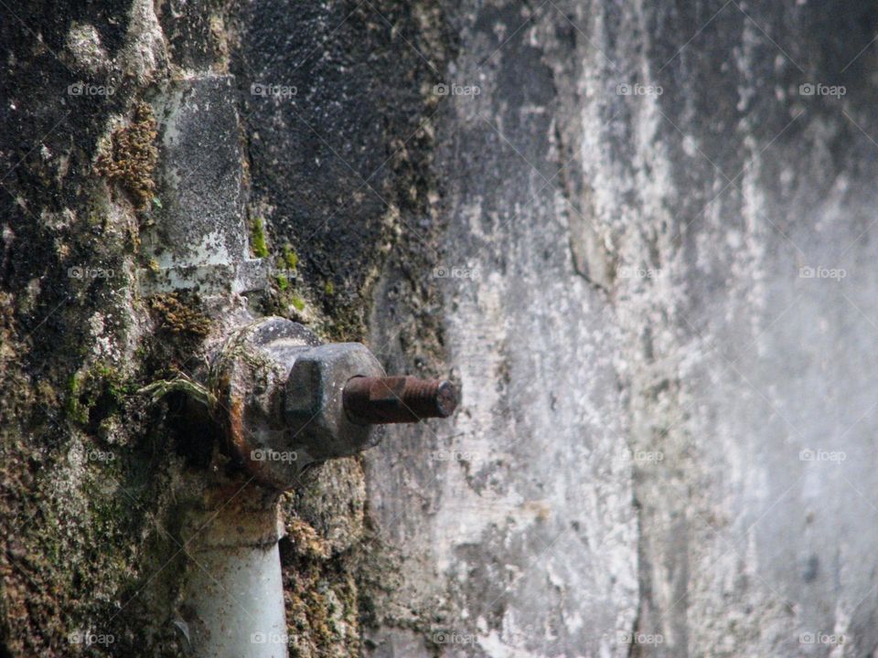 Close-up of an old water tap attached to a mossy wall