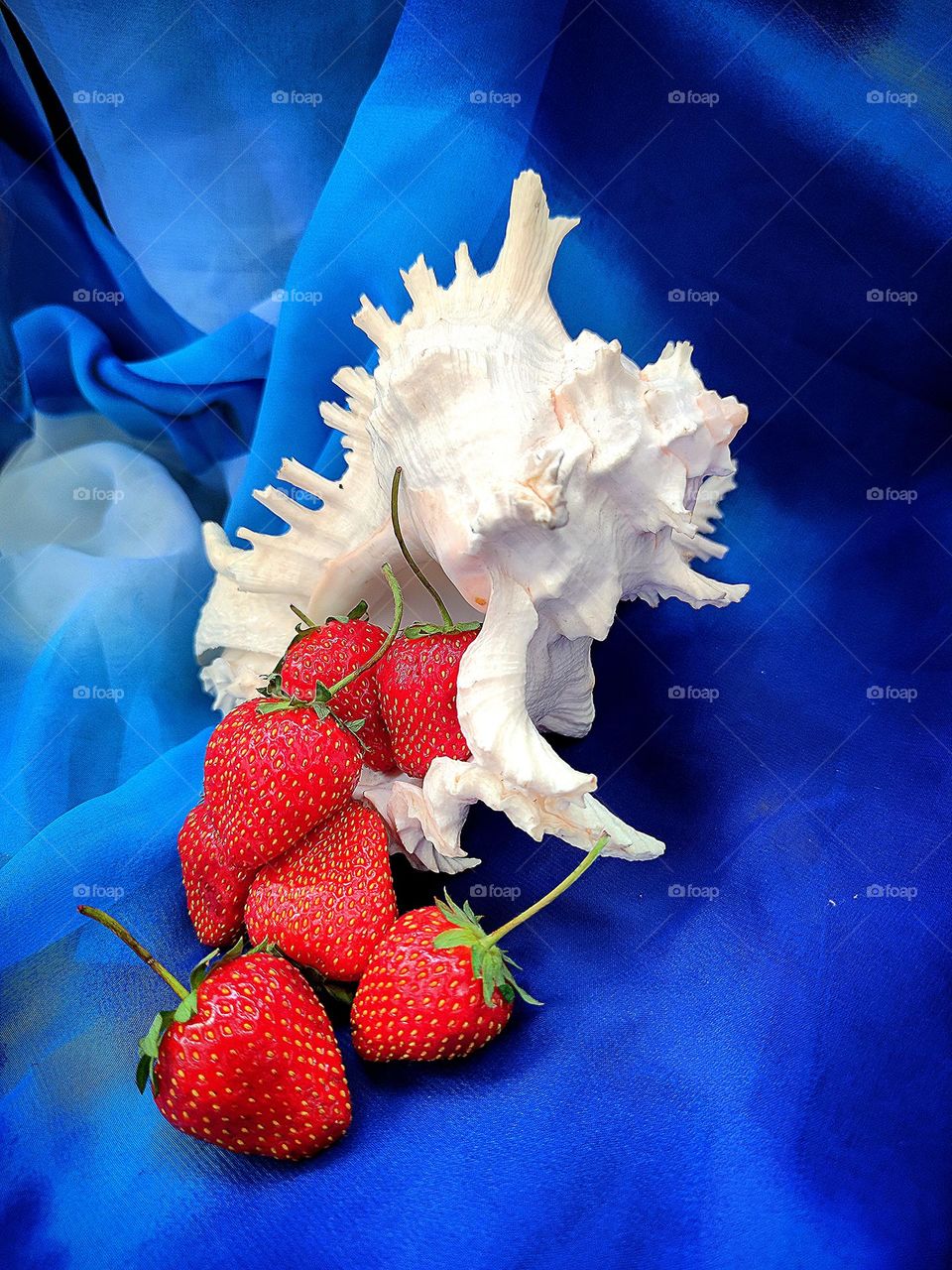Summer.  Strawberry explosion.  On a blue scarf lies a white sea shell from which red strawberries spilled out