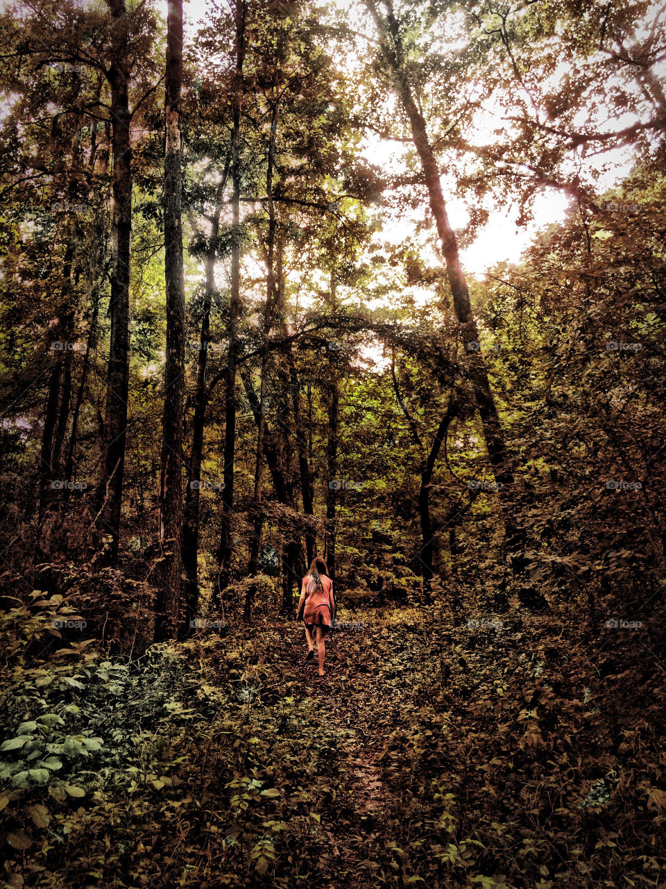 Rear view of a woman hiking in forest