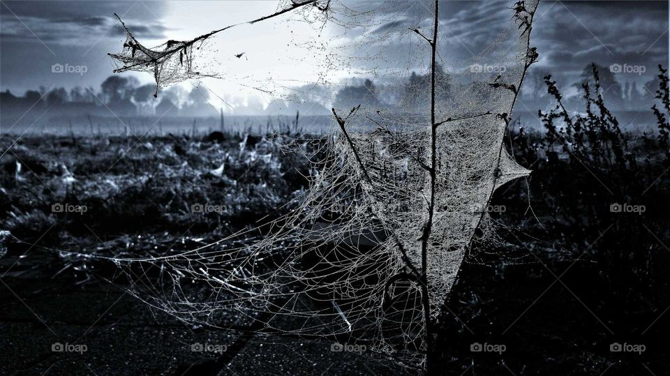 Creepy spooky Halloween spiderweb with black / blue background