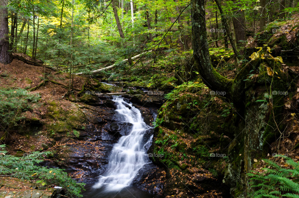 Shelving rock falls