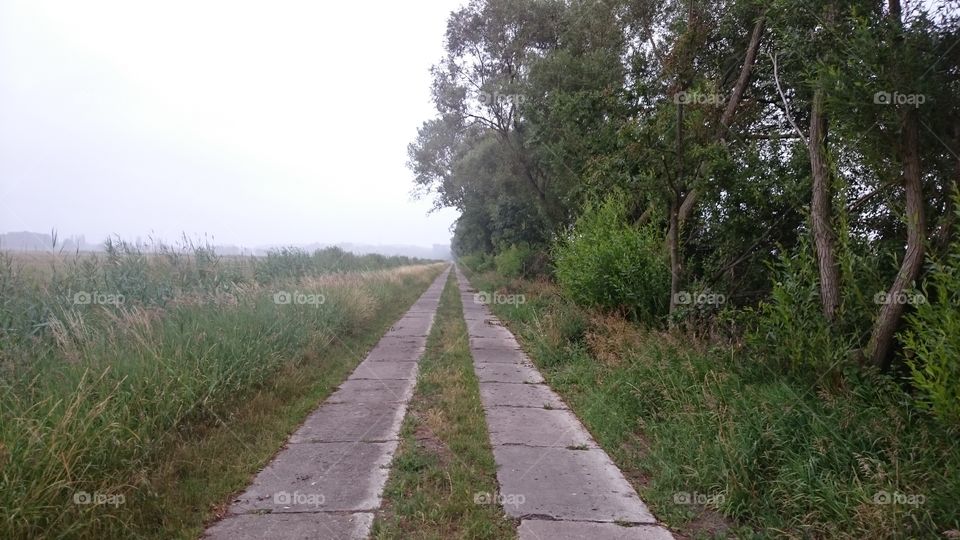 long path on cloudy day