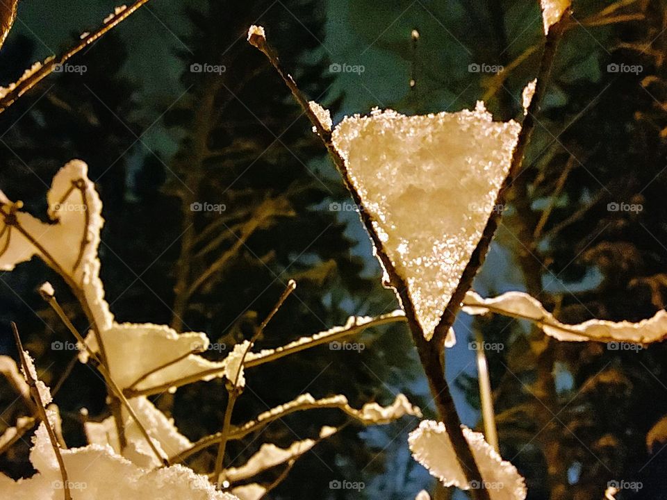 First snow still hanging on