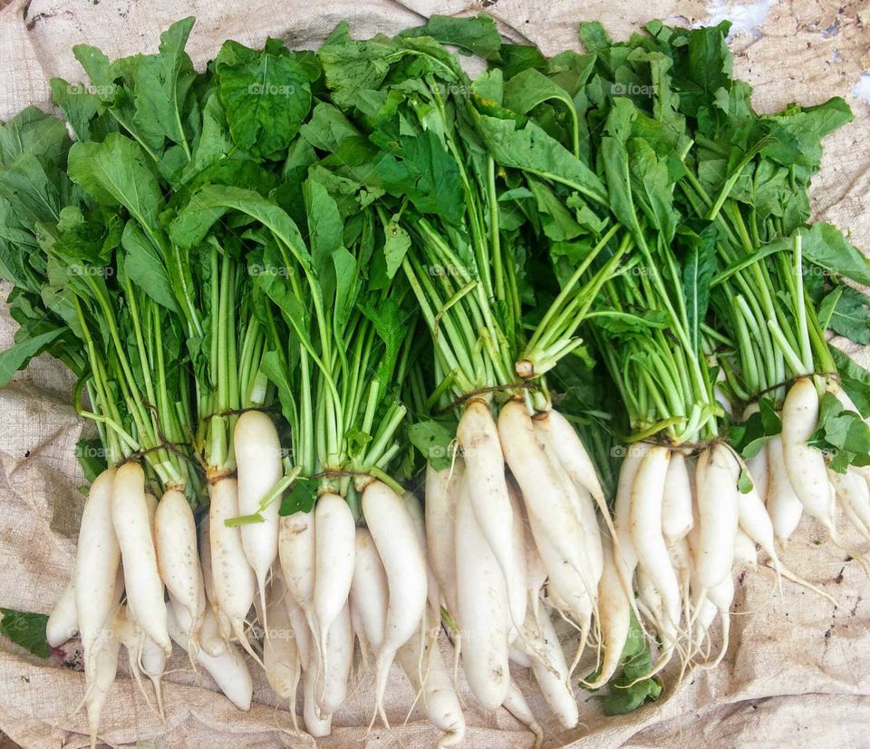 Healthy Vegetables - White Radish