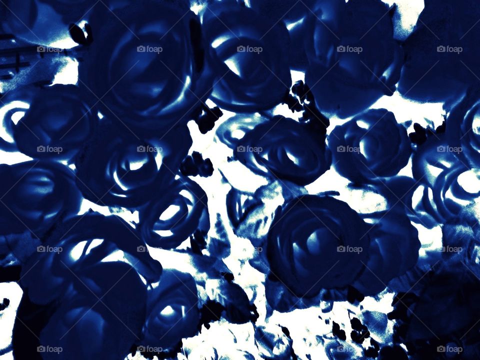 Blue Flower Abstract