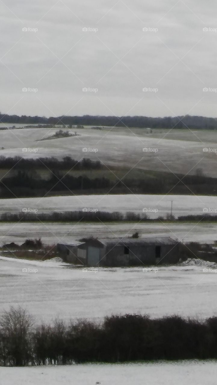 Landscape In Winter