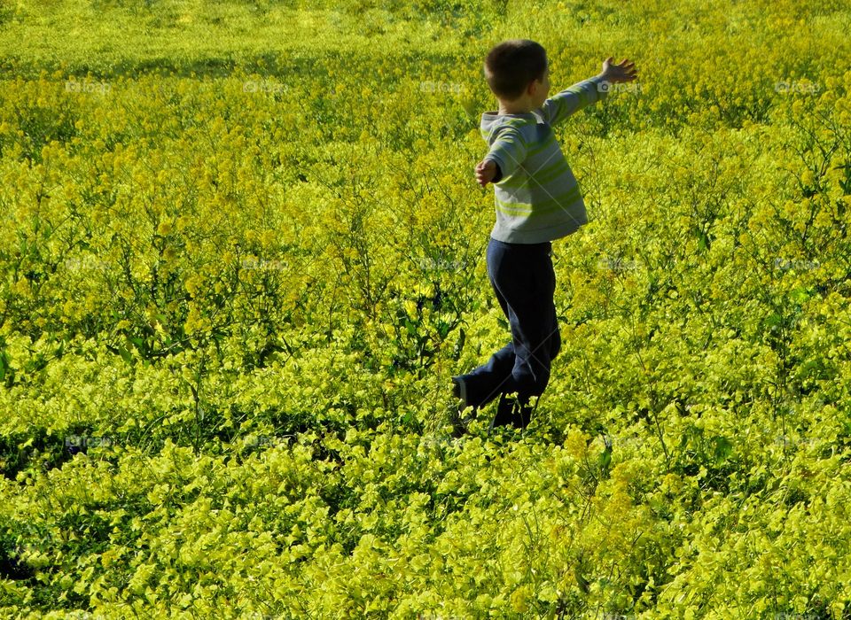 Boy Running Through Wildflowers