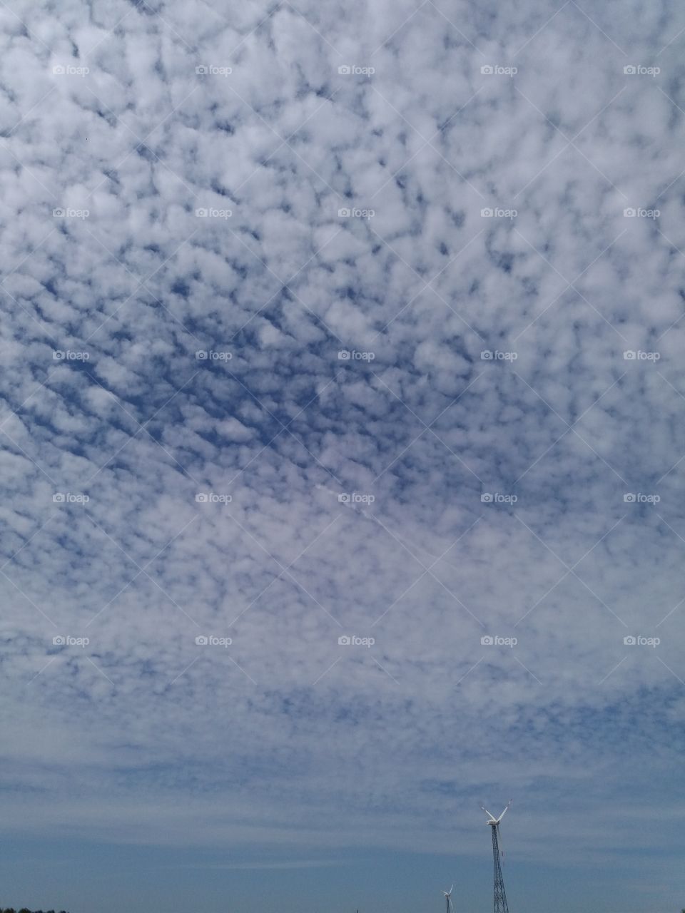 cottony spread on sky