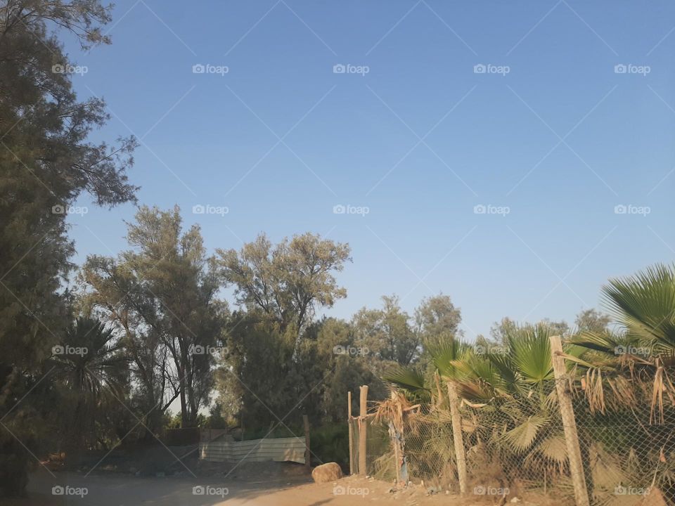 Please make me happy, I am poor, I need your help with support