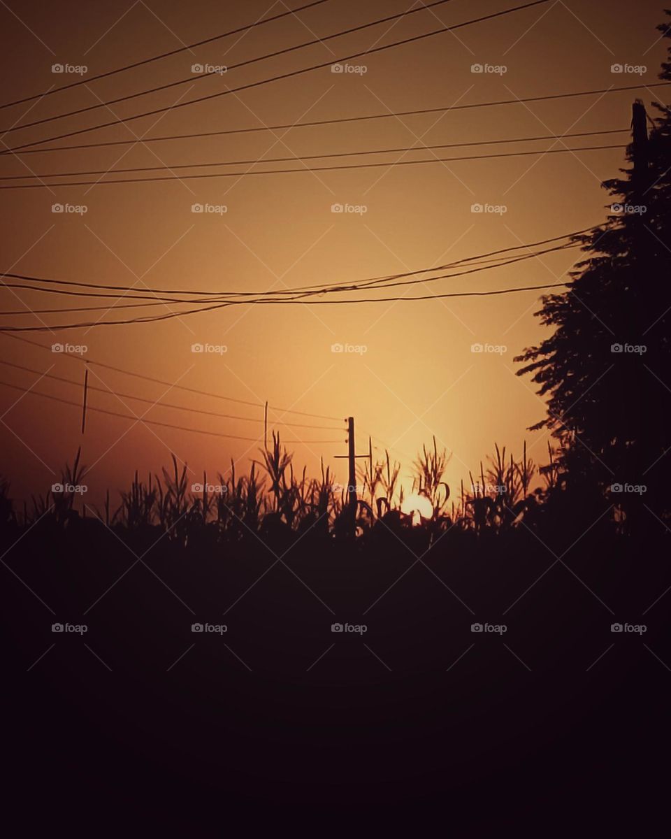 # sunset# beautiful# image