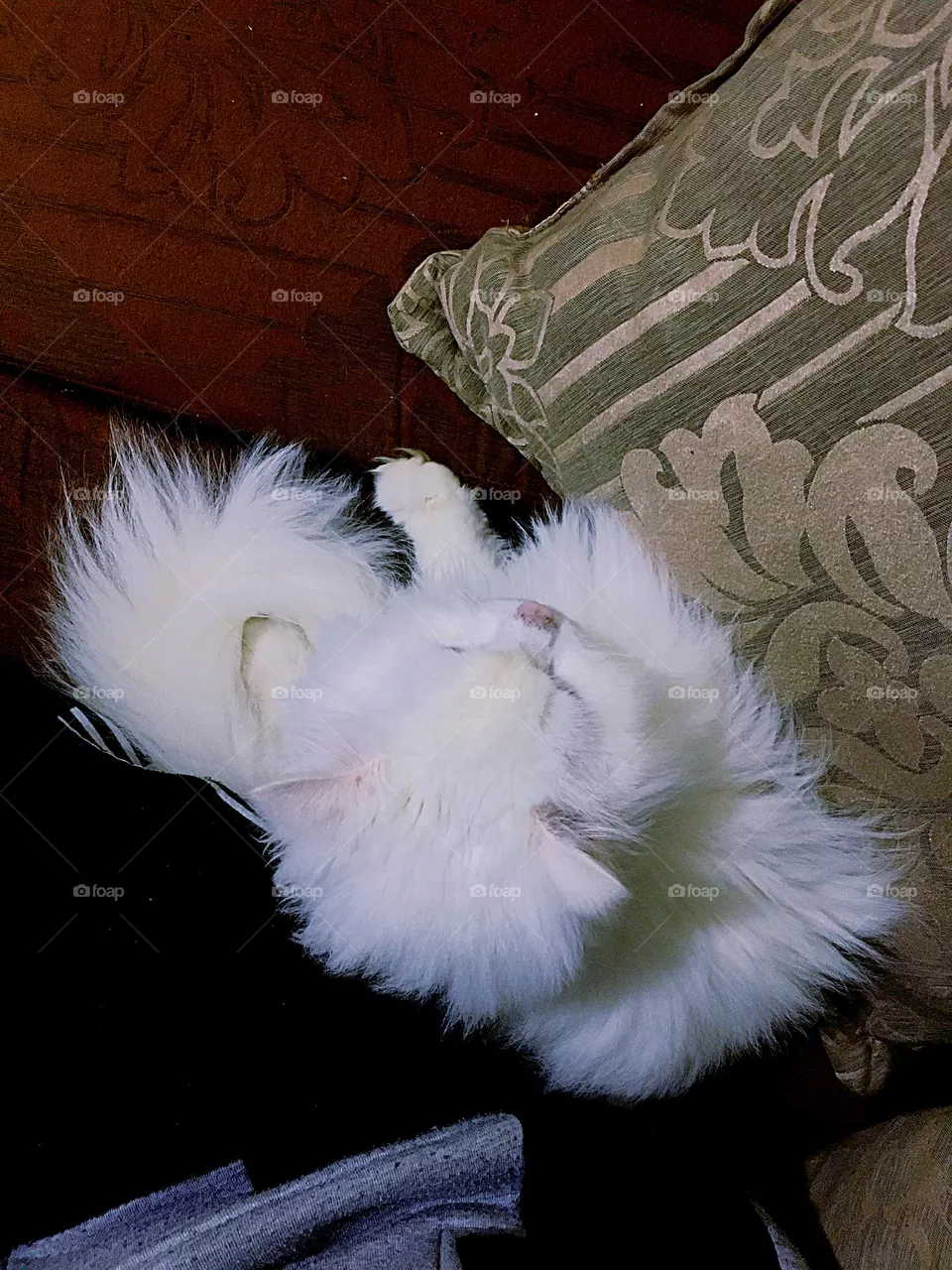 What a cute head