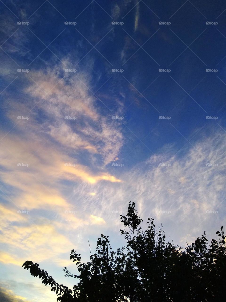 Blue sky, golden clouds.