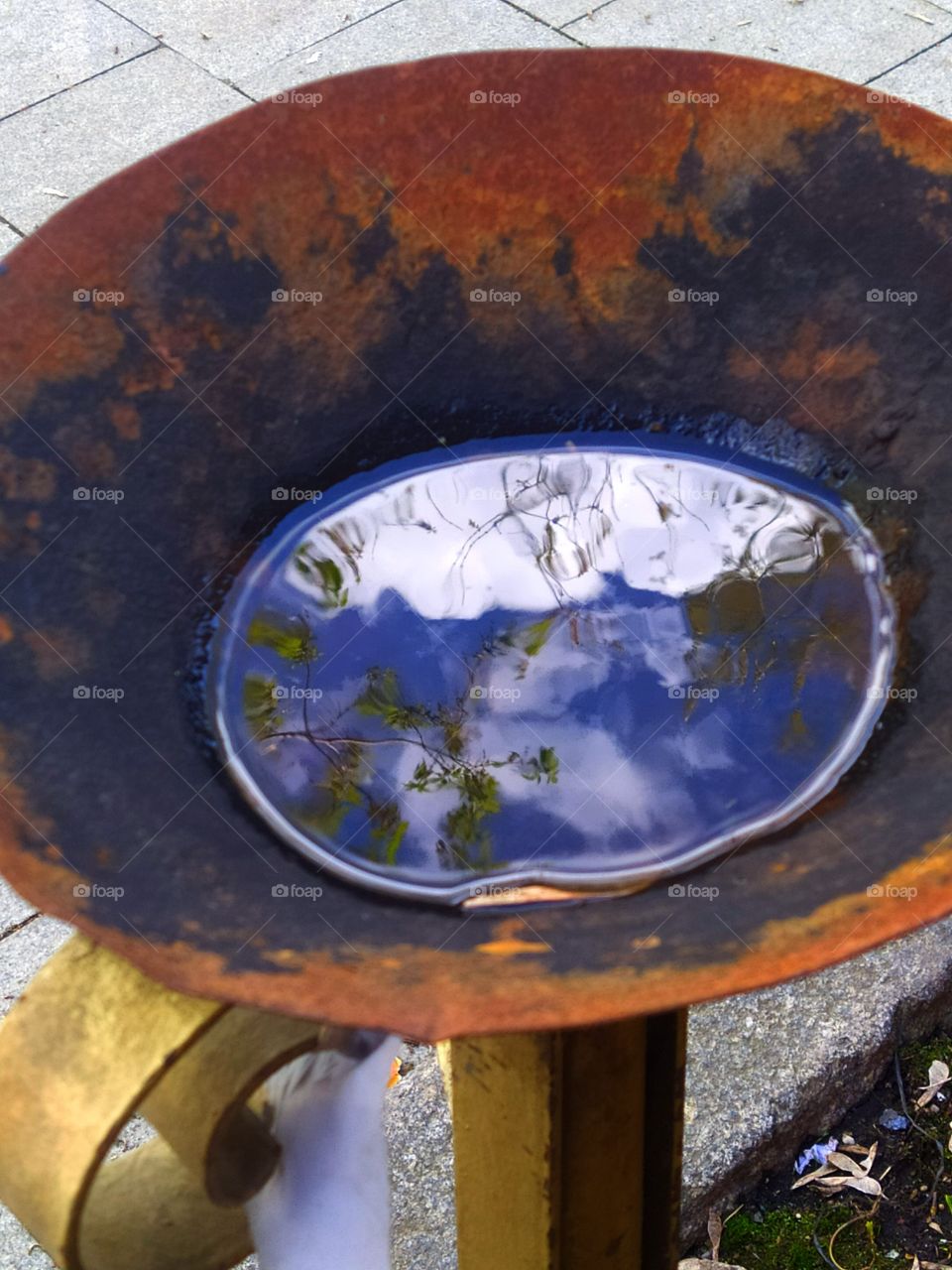 A metal bowl of rainwater that reflects the blue sky, white clouds and green trees
