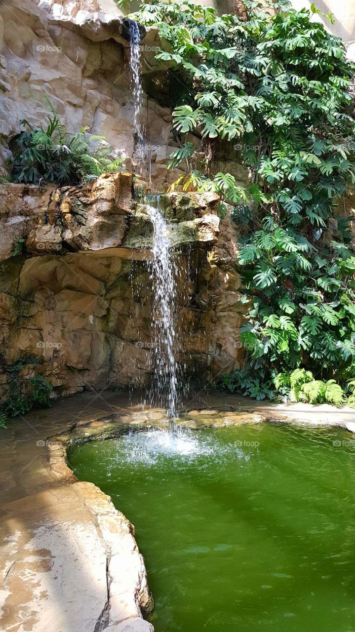 San Antonio, Texas, Botanical Garden