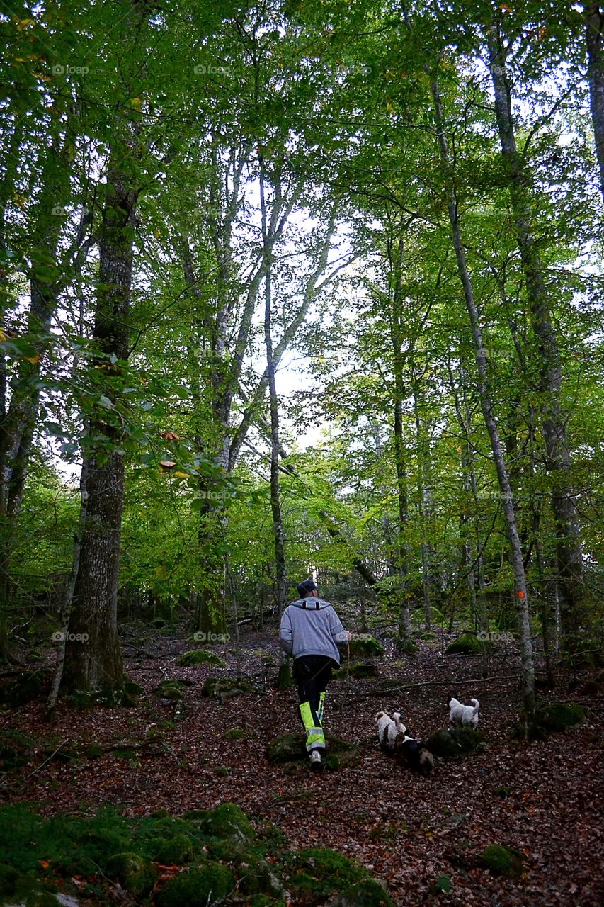 Walking in the nature 