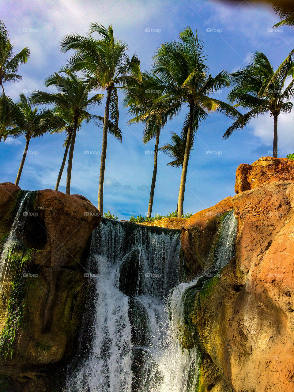 Beautiful water falls and palm trees