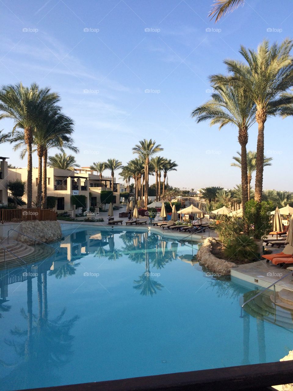 swimming pool, palm, travel, Grand Hotel