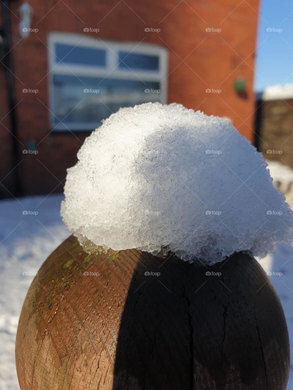 end of winter, hello spring