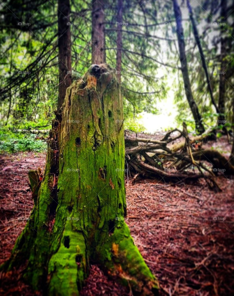 The Roads Less Travelled Really Do Lead To The Prettiest Places. Never Stop Exploring.