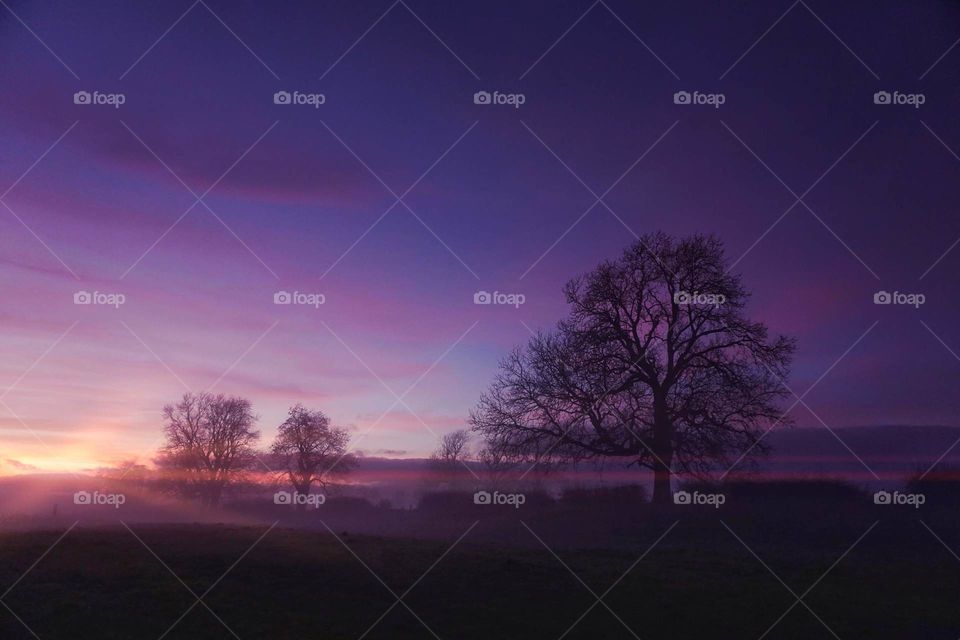 Purple evening sky … snapped whilst out for a walk 