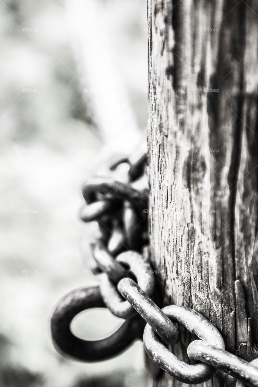 Chain around a tree