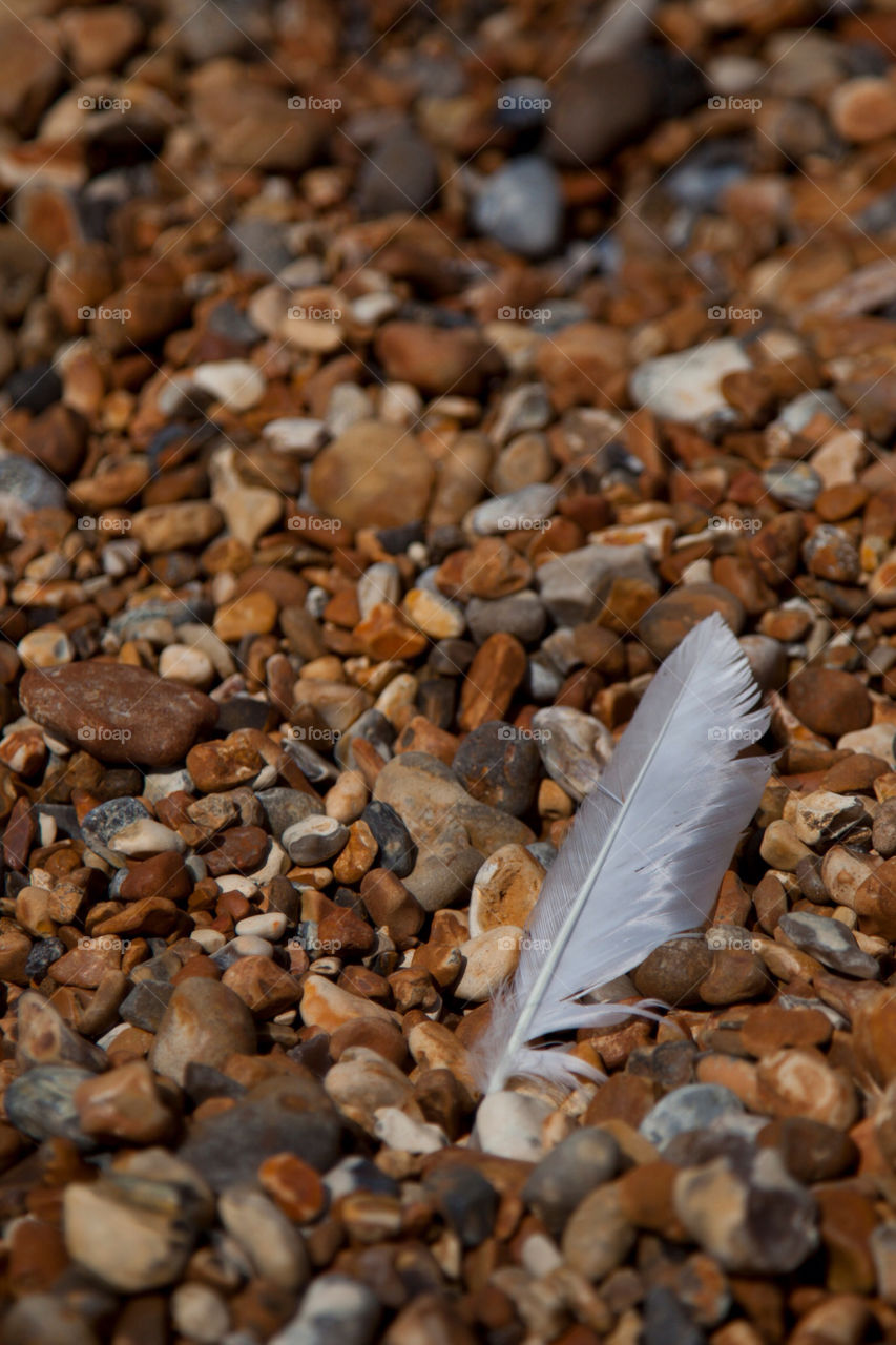 england water stones feather by vinnyme