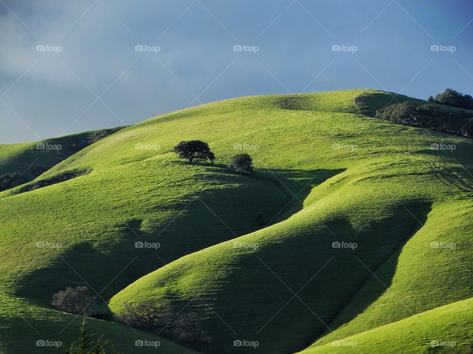 Green Rolling Hills