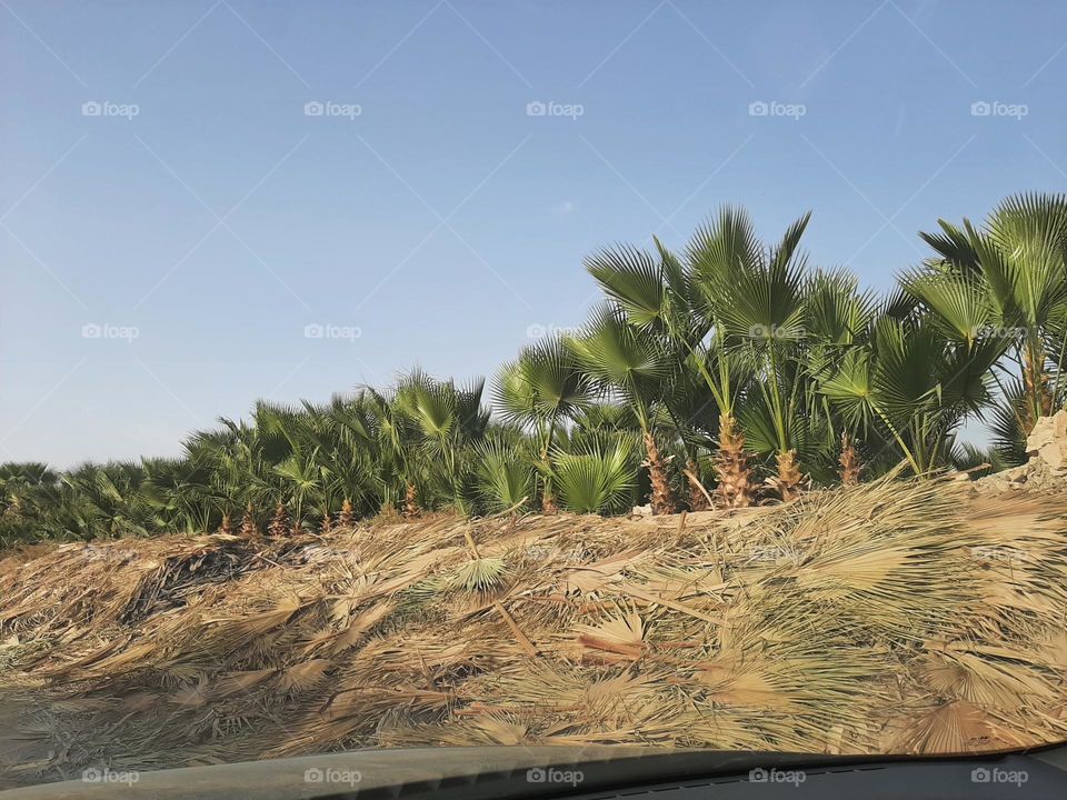 Please make me happy, I am poor, I need your help with support