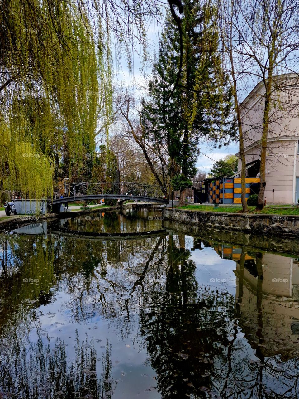 the city of Cluj-Napoca